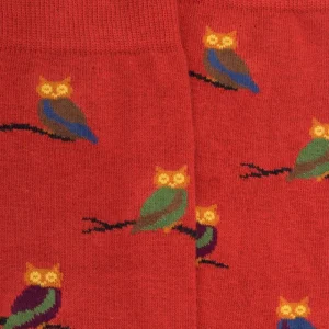 Homme Doré Doré Chaussettes^Chaussettes homme en coton motif hibou - Orange cognac & vert campagne