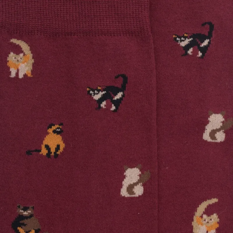 chaussettes_homme_en_coto_1-57.webp Homme Doré Doré Chaussettes^Chaussettes homme en coton à motif chats -
