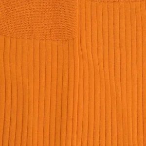Homme Doré Doré Chaussettes^Chaussettes homme fines à côtes en fil d'Écosse -